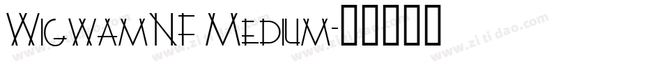 WigwamNF Medium字体转换